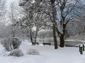 winter scene