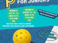 pickleball for juniors